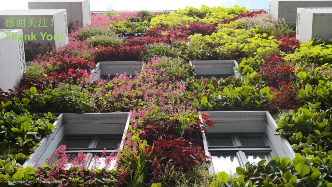 PPT分享 | 旭格绿植幕墙，打造城市垂直生命力