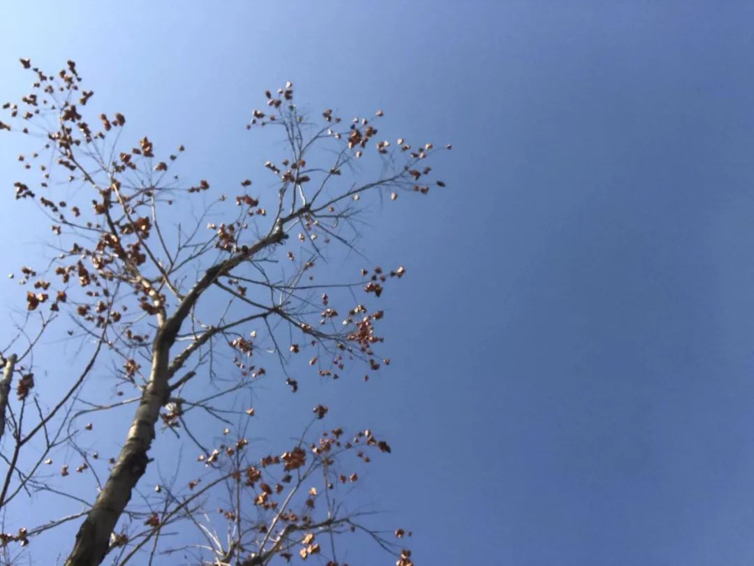 因为一首诗被贬千里,14年后他故地重游,说:告诉苍天,我不认输-微信头条网 因为一首诗被贬千里,14年后他故地重游,说:告诉苍天,我不认输