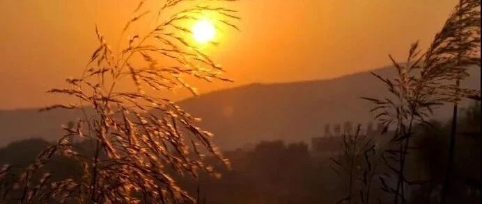 曹操最有名的4首诗，句句经典，警醒世人千余年！