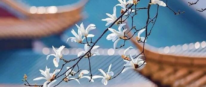 千年来最悲伤的10首古诗词，初读已热泪盈眶