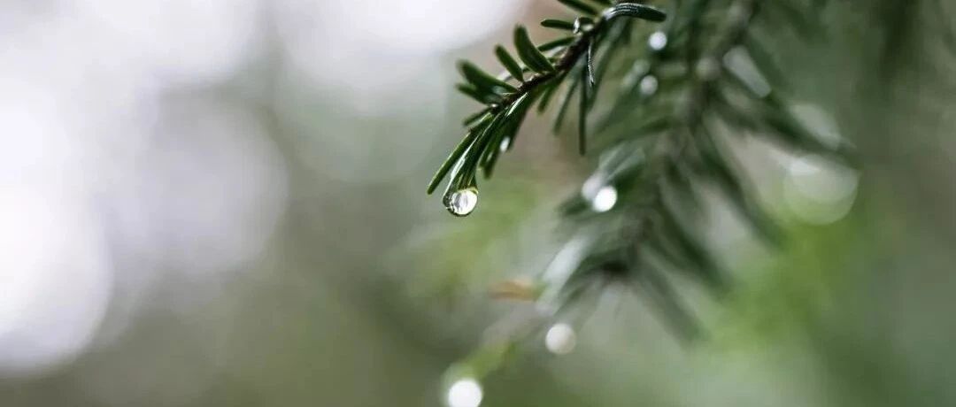 千古第一豁达的宋词，三场雨过完一生，读完最后一句全想开了！