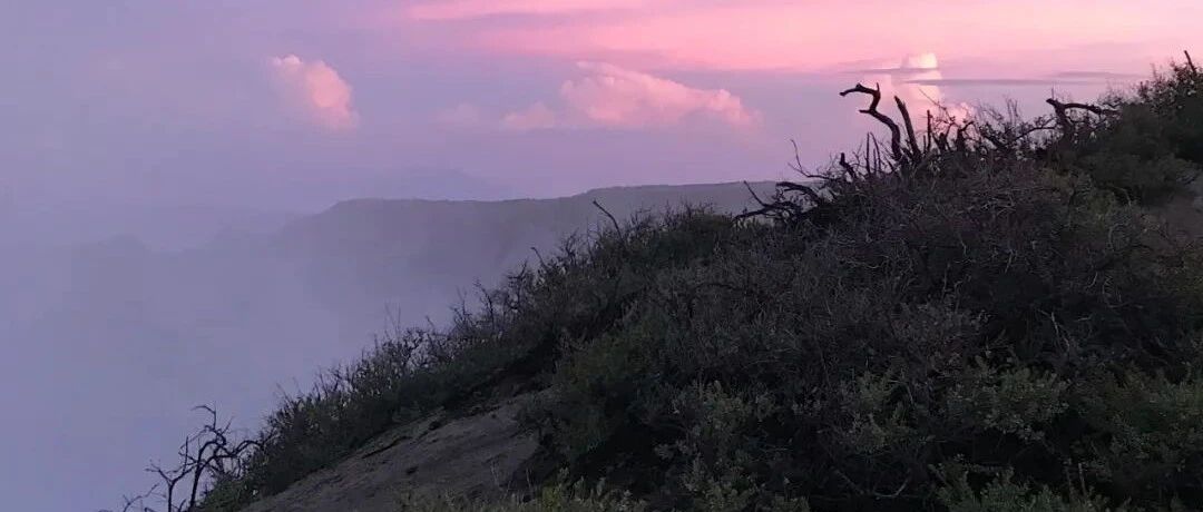 刘禹锡最得意之作，让白居易读后感叹良久……网友：不愧是诗豪啊！