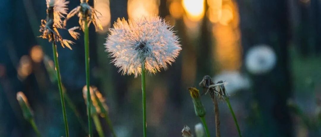 杜甫的一首诗，表面上说管仲鲍叔牙，实际上却写尽了世态炎凉