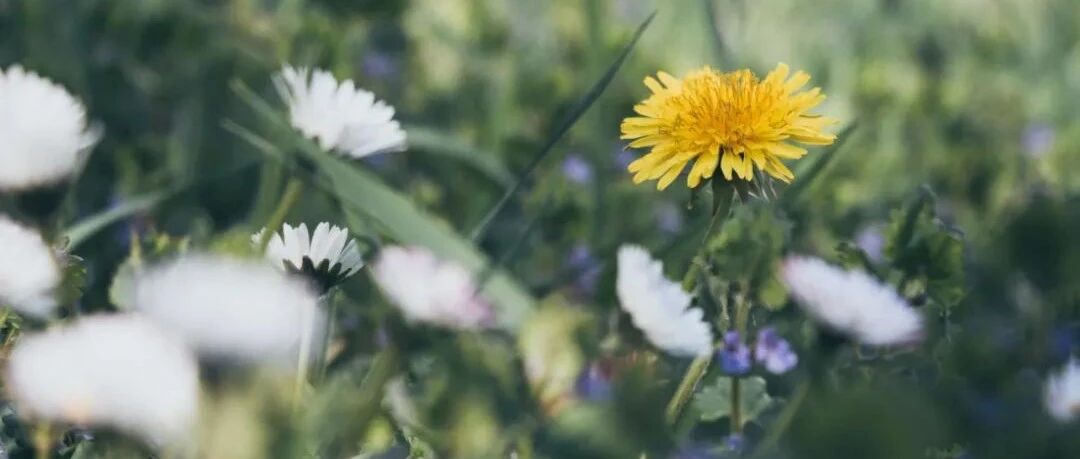 他是古今第一美男子，妻子去世，终身不娶，写下中国第一首悼亡诗