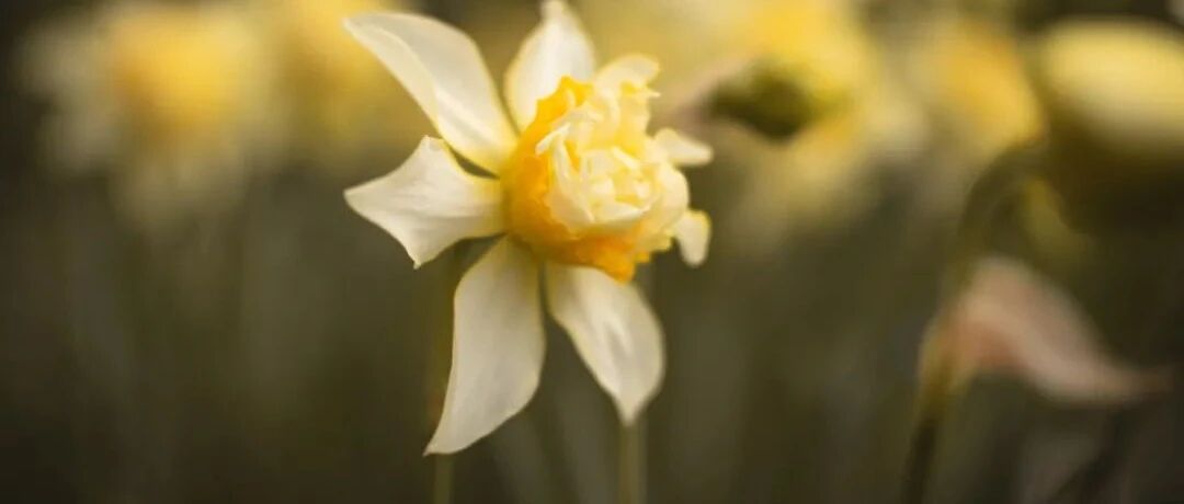 为洗刷冤情，宋代才女写下一首词，感动了主考官，成功脱罪