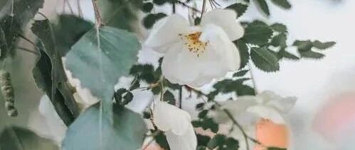 读点有趣诗，做个有趣人