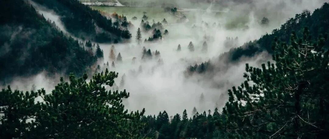 李白最为愚蠢的一首诗，毁了一生前途，后人难以相信这是他的作品