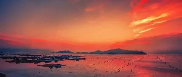 毛泽东最脍炙人口的10首诗词，一首一个名句，一生必读！