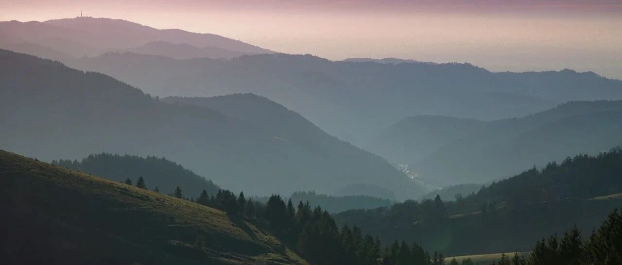 他曾官至正国级，写的诗被14亿中国人传颂，为何会身败名裂，死后殃及子孙？