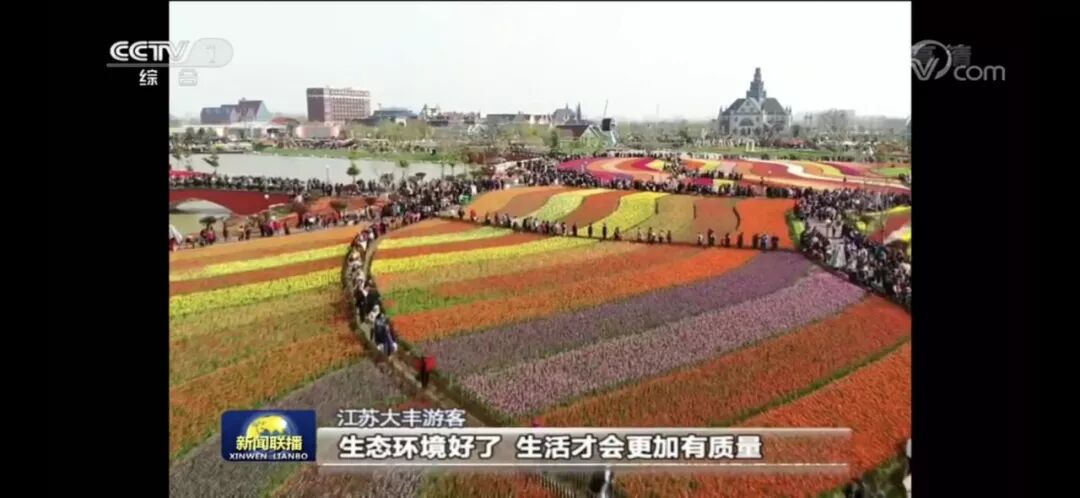 昨晚央视连“秀”盐城两处“花” 怎么能这么美