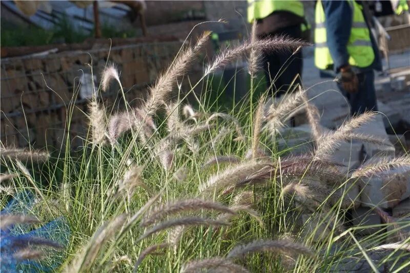 翘首期盼世园会，记者探访中国馆