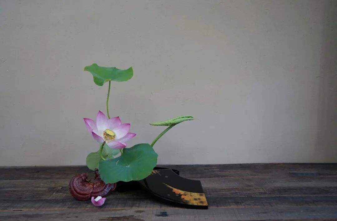 【采薇专栏】案头清供，插花中的“君子之心”