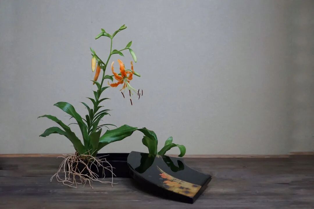 【采薇专栏】案头清供，插花中的“君子之心”