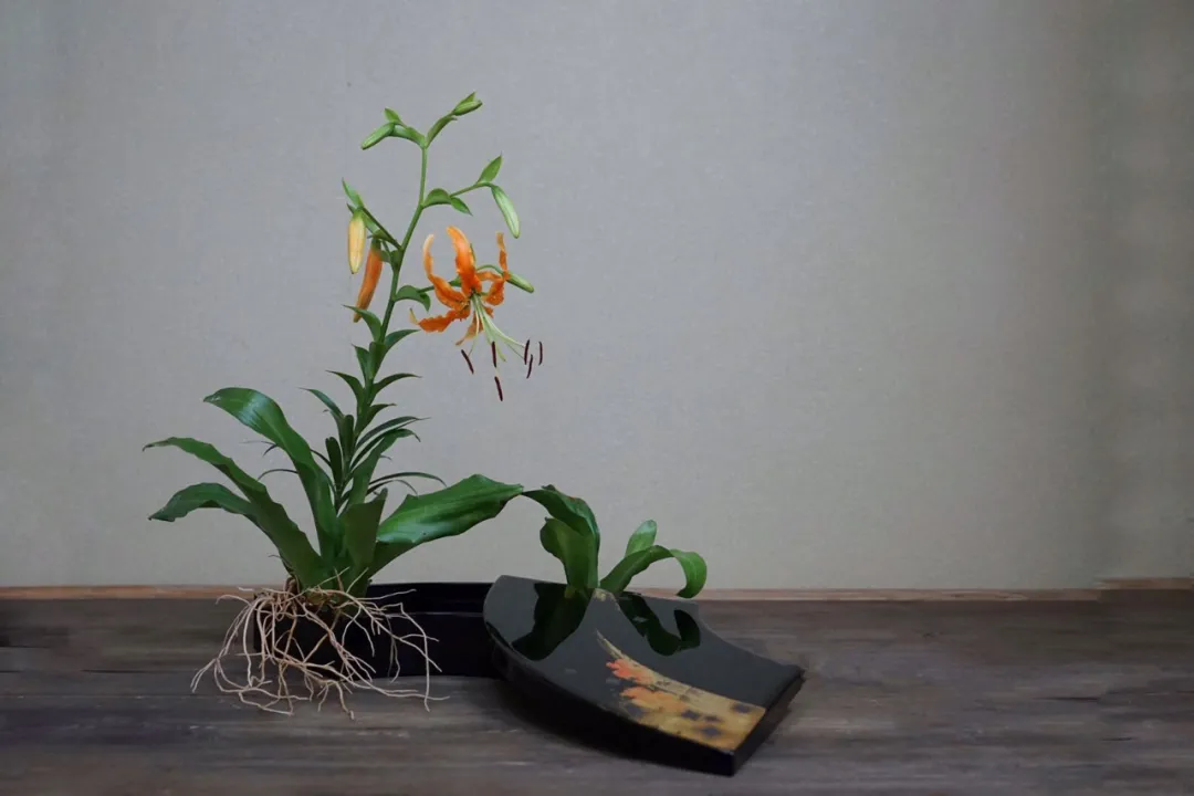 【采薇专栏】案头清供,插花中的“君子之心” 【采薇专栏】案头清供,插花中的“君子之心”