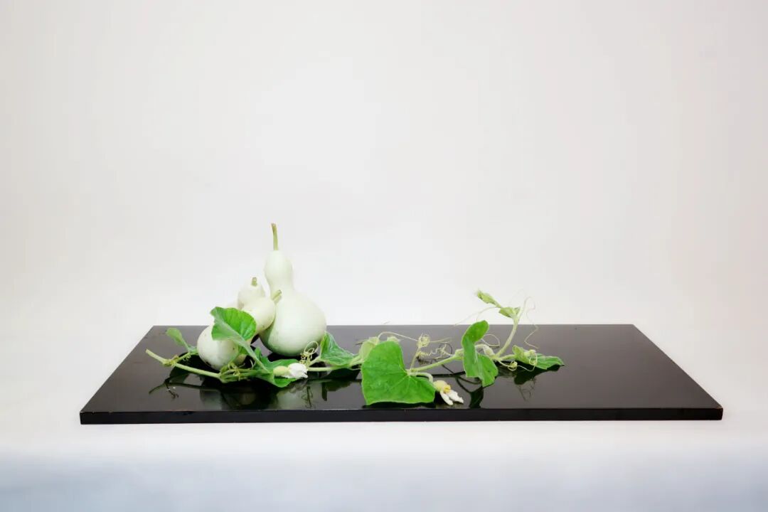 【采薇专栏】案头清供，插花中的“君子之心”