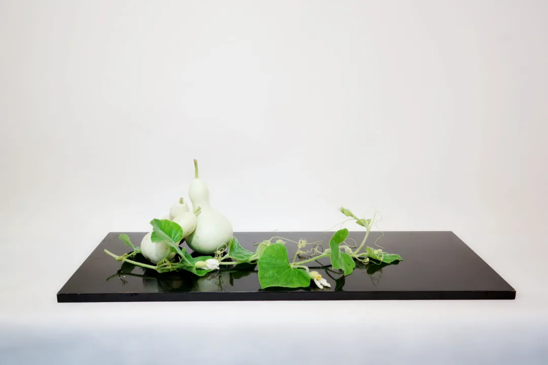 【采薇专栏】案头清供,插花中的“君子之心” 【采薇专栏】案头清供,插花中的“君子之心”