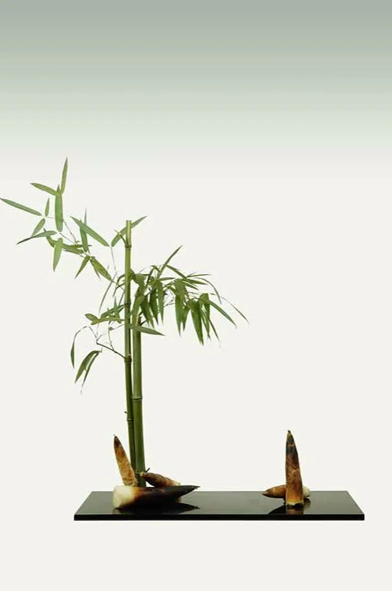 【采薇专栏】案头清供，插花中的“君子之心”