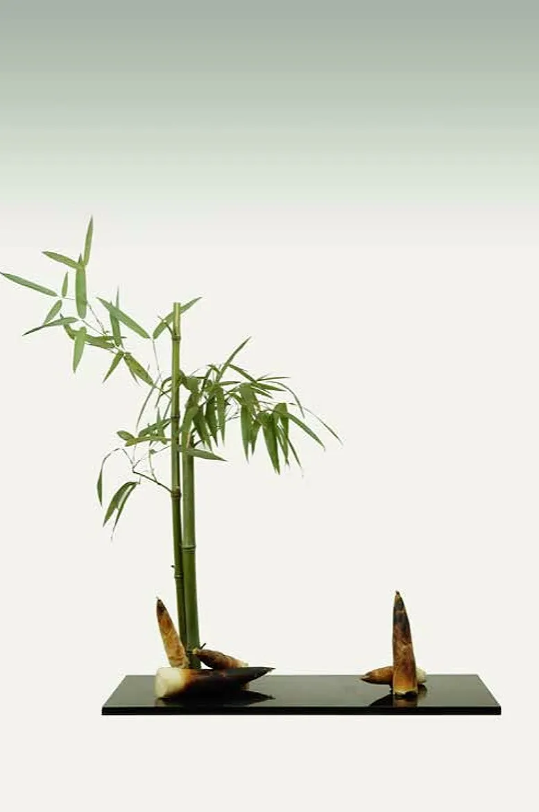 【采薇专栏】案头清供,插花中的“君子之心” 【采薇专栏】案头清供,插花中的“君子之心”