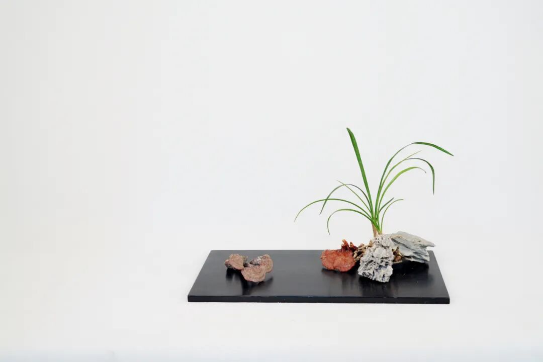 【采薇专栏】案头清供，插花中的“君子之心”