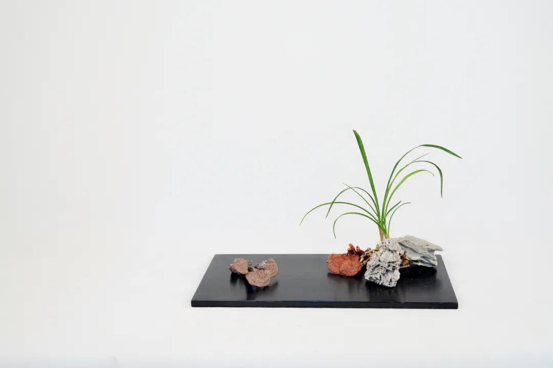 【采薇专栏】案头清供,插花中的“君子之心” 【采薇专栏】案头清供,插花中的“君子之心”