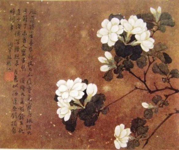 小暑神清夏日长，座接花茵一院香