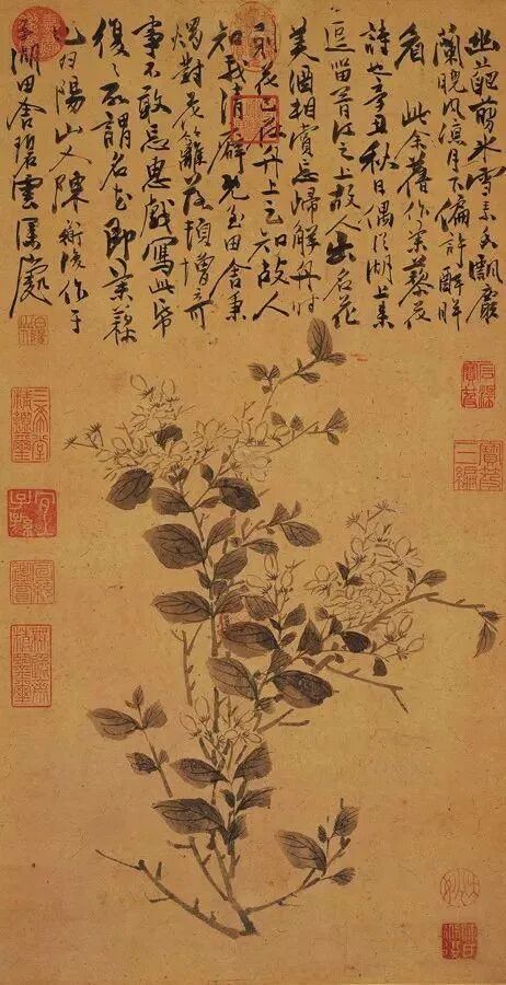 小暑神清夏日长，座接花茵一院香