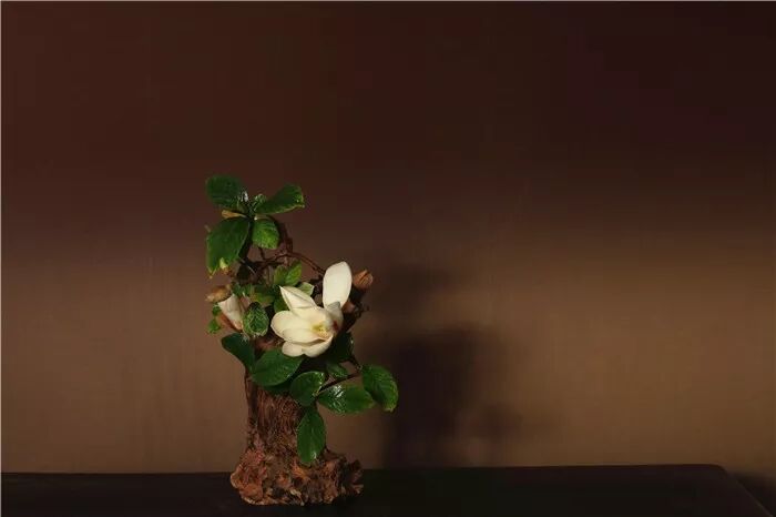 絲瓜、蟲巢、樹樁……你想不到的器皿插花，野趣盎然！