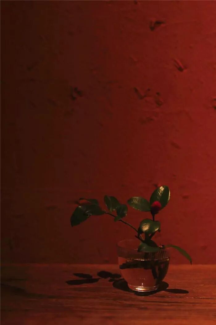 絲瓜、蟲巢、樹樁……你想不到的器皿插花，野趣盎然！