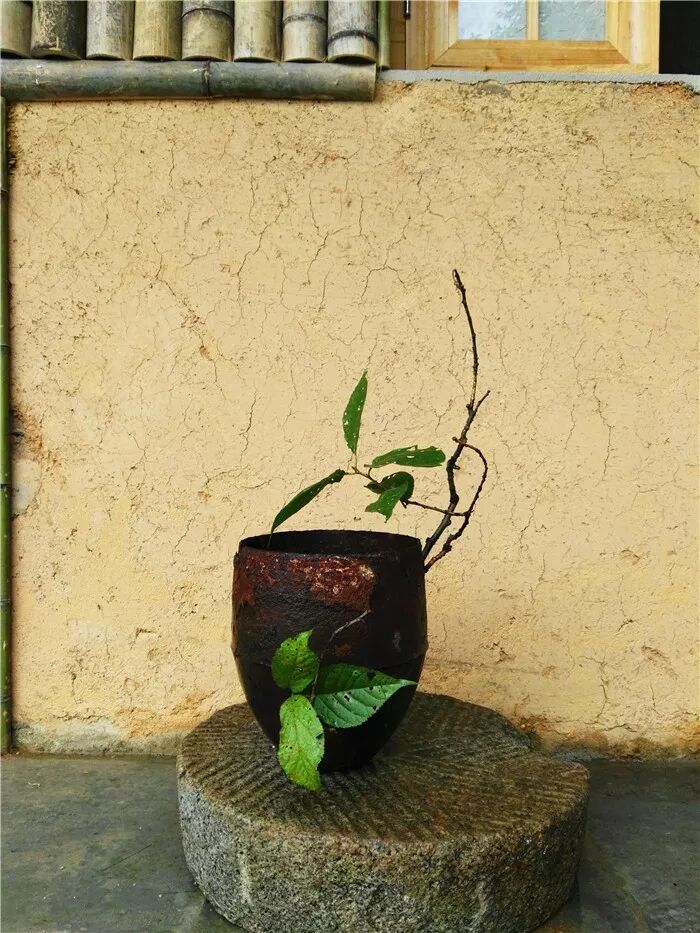 絲瓜、蟲巢、樹樁……你想不到的器皿插花，野趣盎然！