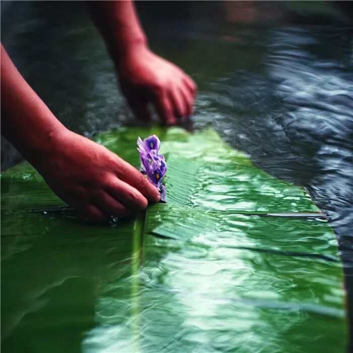 絲瓜、蟲巢、樹樁……你想不到的器皿插花，野趣盎然！