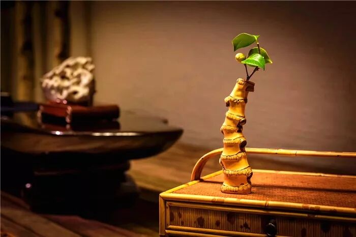 絲瓜、蟲巢、樹樁……你想不到的器皿插花，野趣盎然！