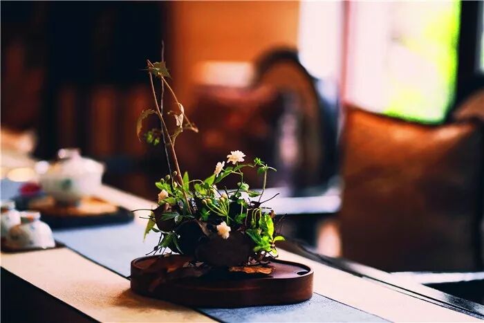 絲瓜、蟲巢、樹樁……你想不到的器皿插花，野趣盎然！