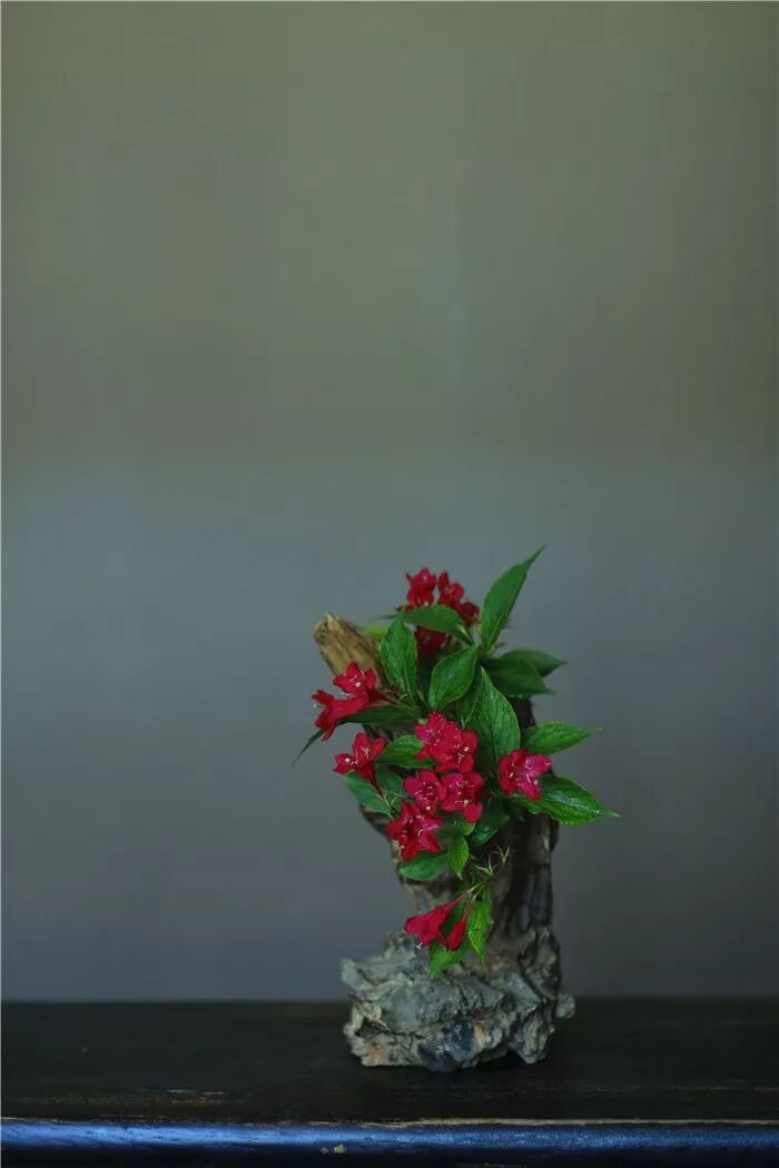 絲瓜、蟲巢、樹樁……你想不到的器皿插花，野趣盎然！