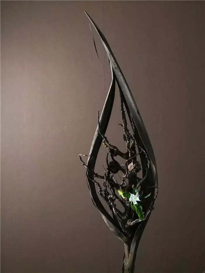 絲瓜、蟲巢、樹樁……你想不到的器皿插花，野趣盎然！