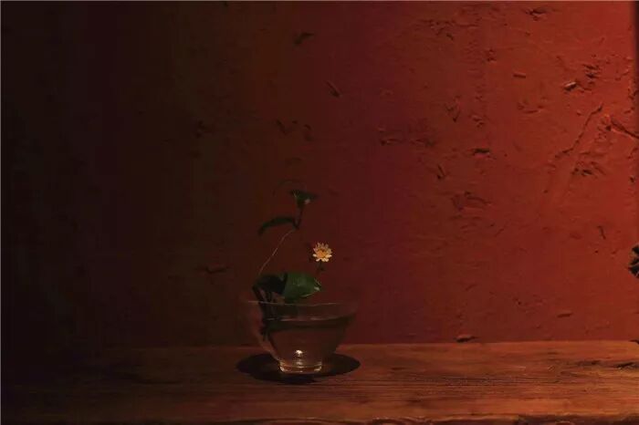 絲瓜、蟲巢、樹樁……你想不到的器皿插花，野趣盎然！