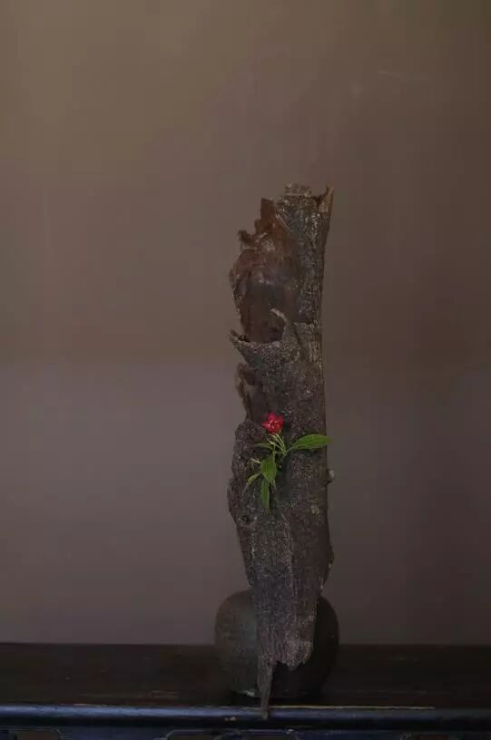 絲瓜、蟲巢、樹樁……你想不到的器皿插花，野趣盎然！