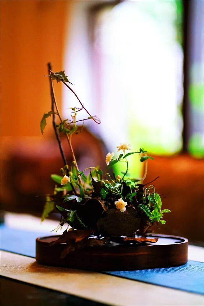 絲瓜、蟲巢、樹樁……你想不到的器皿插花，野趣盎然！