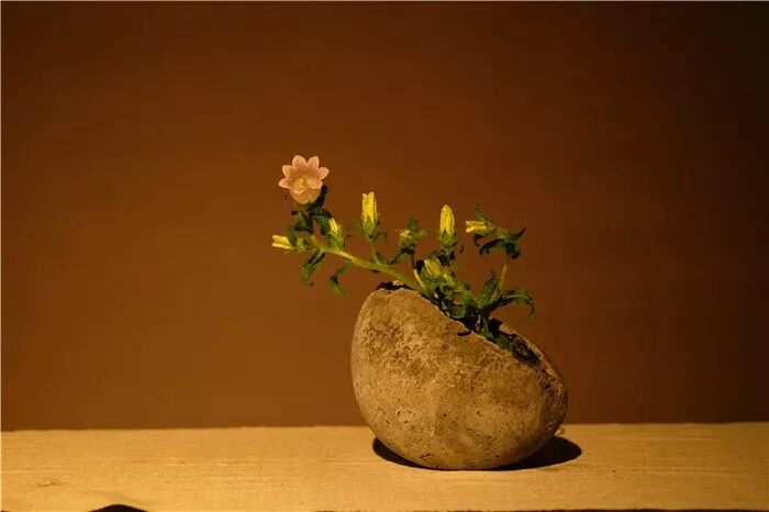 絲瓜、蟲巢、樹樁……你想不到的器皿插花，野趣盎然！