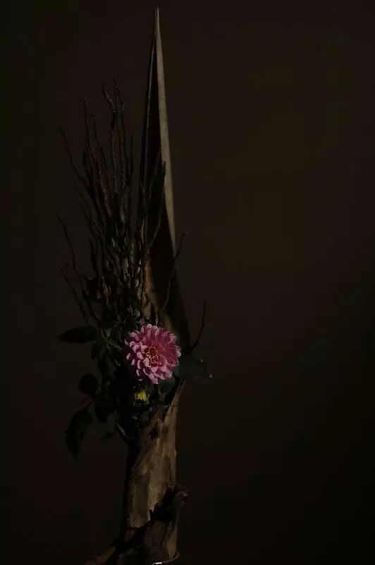 絲瓜、蟲巢、樹樁……你想不到的器皿插花，野趣盎然！