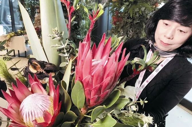 澳大利亚本土花卉产业寻求扩大