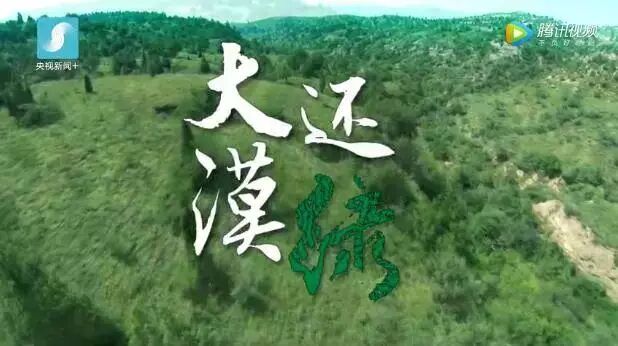 中国用40年时间，干掉一片沙漠，连NASA和联合国都被惊动！网友：不枉我每天凌晨偷能量！