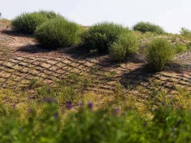 中国用40年时间，干掉一片沙漠，连NASA和联合国都被惊动！网友：不枉我每天凌晨偷能量！