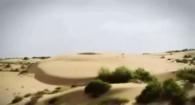 中国用40年时间，干掉一片沙漠，连NASA和联合国都被惊动！网友：不枉我每天凌晨偷能量！