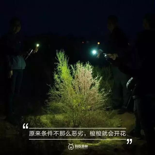 中国用40年时间，干掉一片沙漠，连NASA和联合国都被惊动！网友：不枉我每天凌晨偷能量！