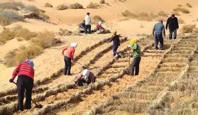 中国用40年时间，干掉一片沙漠，连NASA和联合国都被惊动！网友：不枉我每天凌晨偷能量！