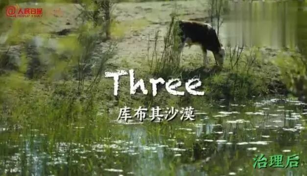 中国用40年时间，干掉一片沙漠，连NASA和联合国都被惊动！网友：不枉我每天凌晨偷能量！