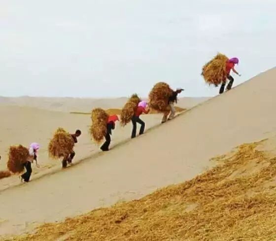 中国用40年时间，干掉一片沙漠，连NASA和联合国都被惊动！网友：不枉我每天凌晨偷能量！