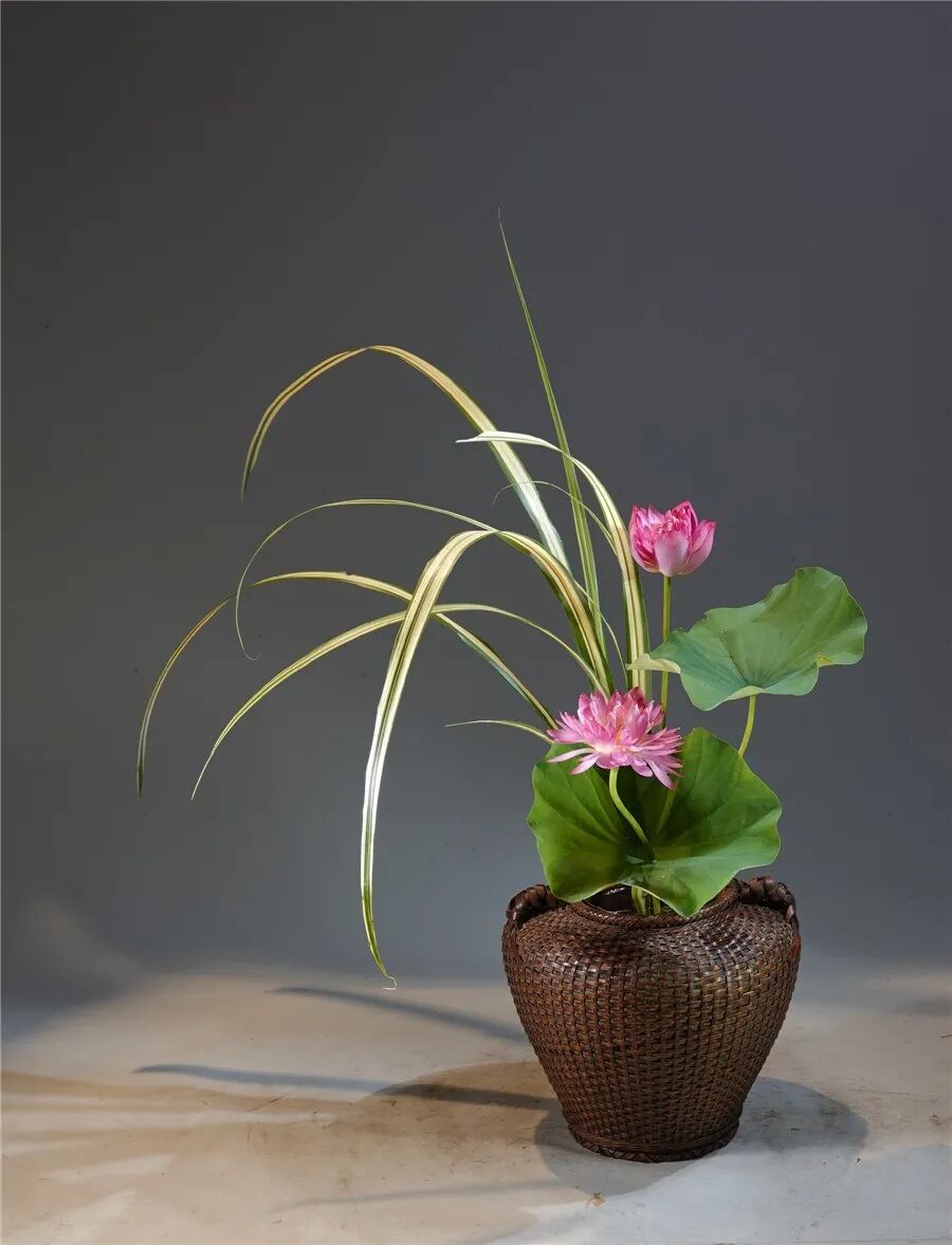 王国忠：插花不能只重形式而缺乏人文精神