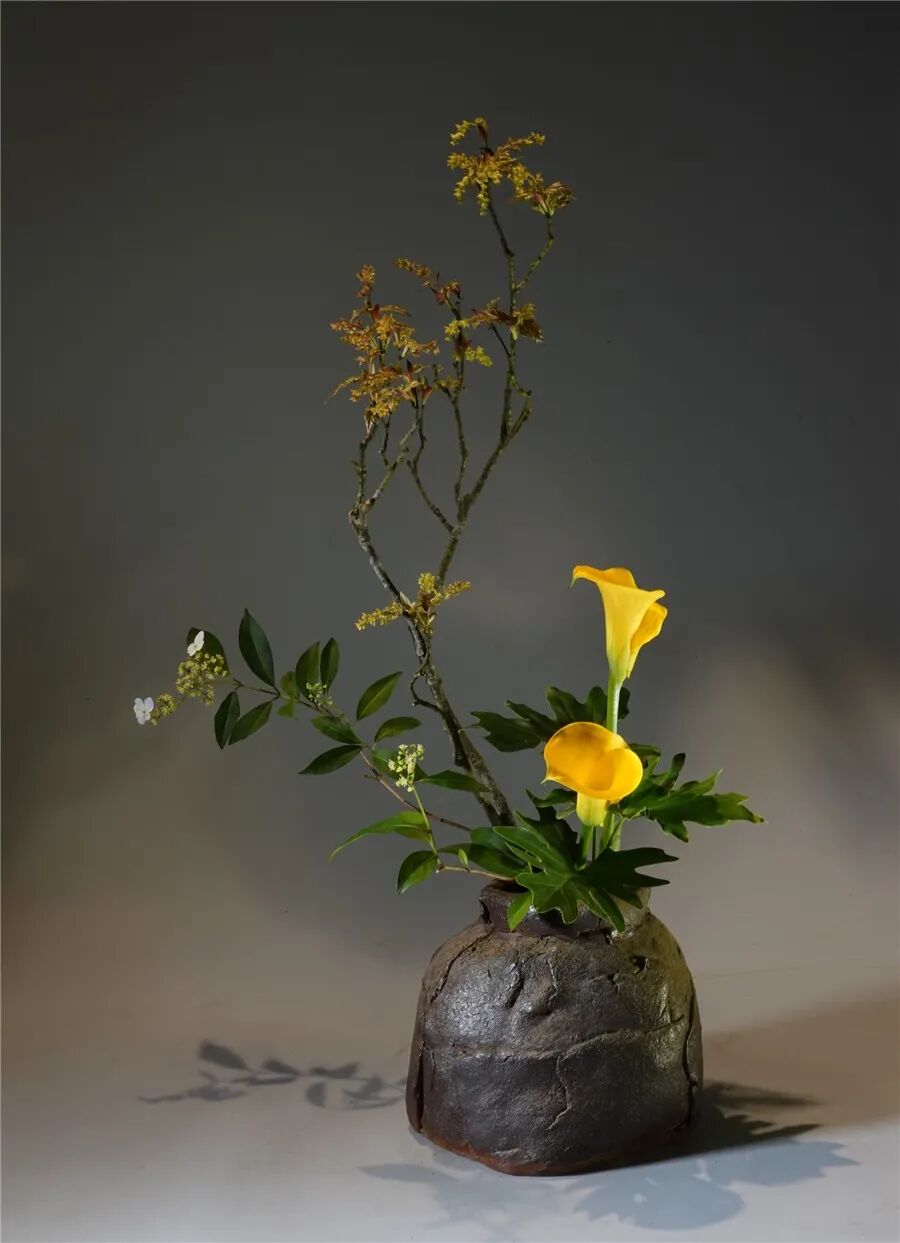 王国忠：插花不能只重形式而缺乏人文精神