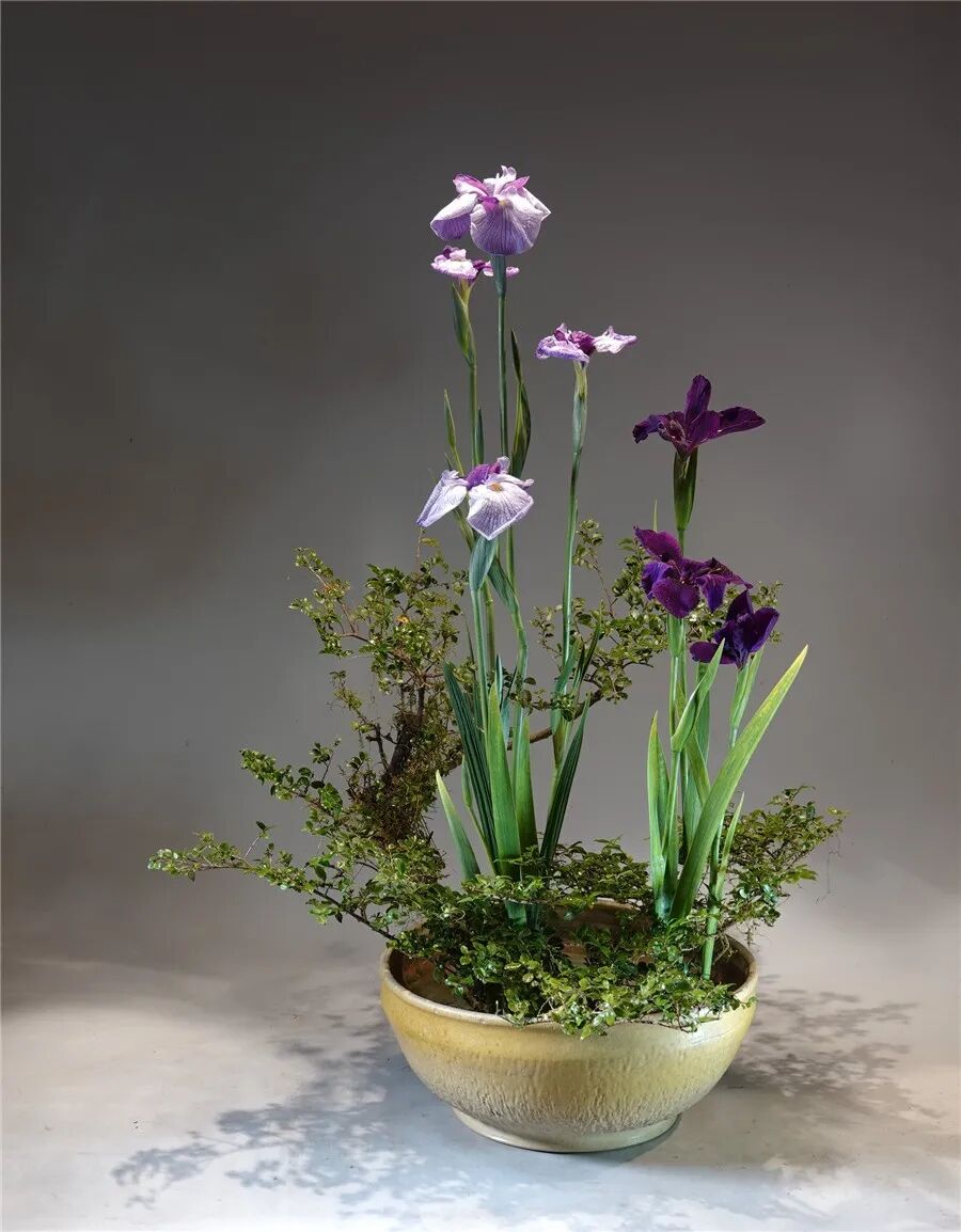 王国忠：插花不能只重形式而缺乏人文精神